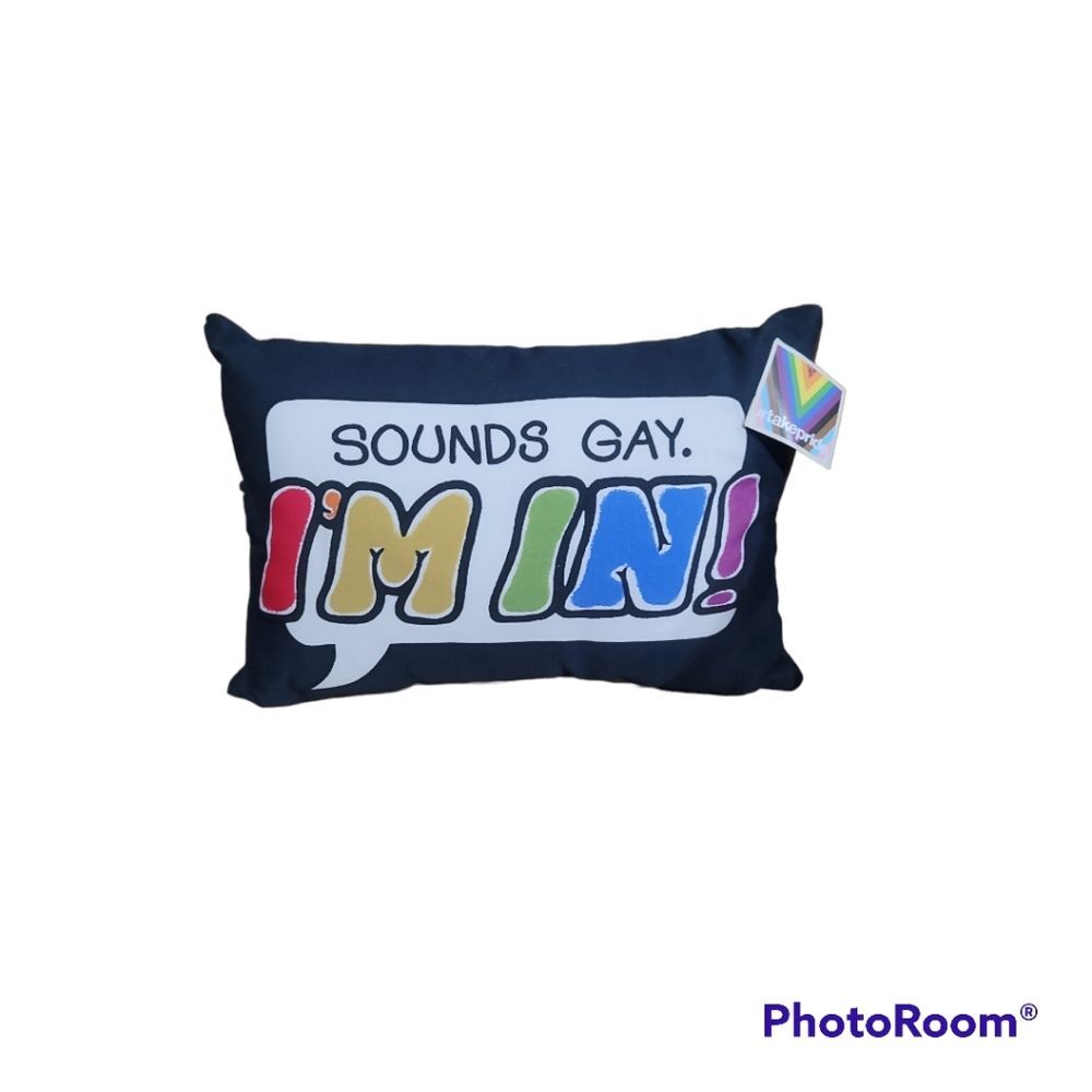 Take Pride Accent Pillow NWT by Olly Gibbs Sounds Gay Im In